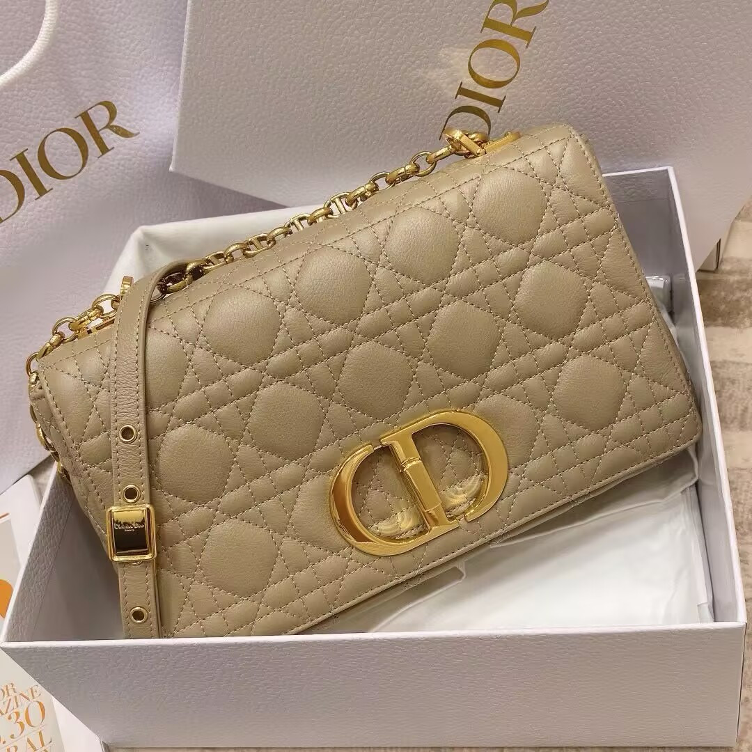 D*or medium D*or caro bag 25.5x15.5x9cm