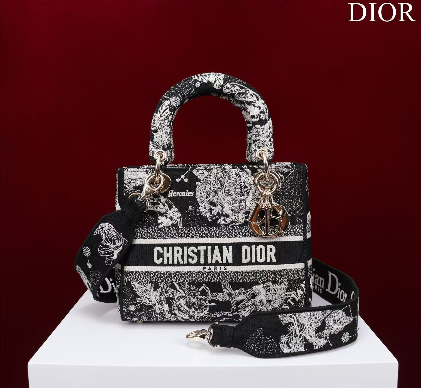 MEDIUM D*0r LADY D-LITE BAG 24 x 20 x 11 cm