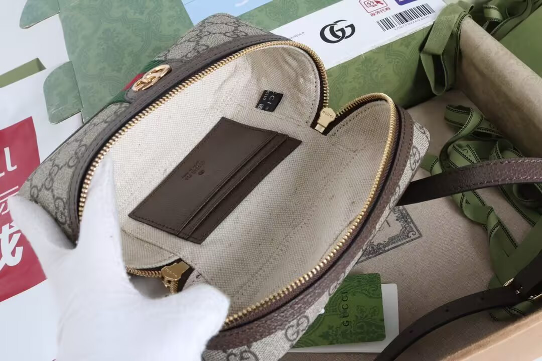 G*u*i ophidia small vanity bag 20x12x6cm