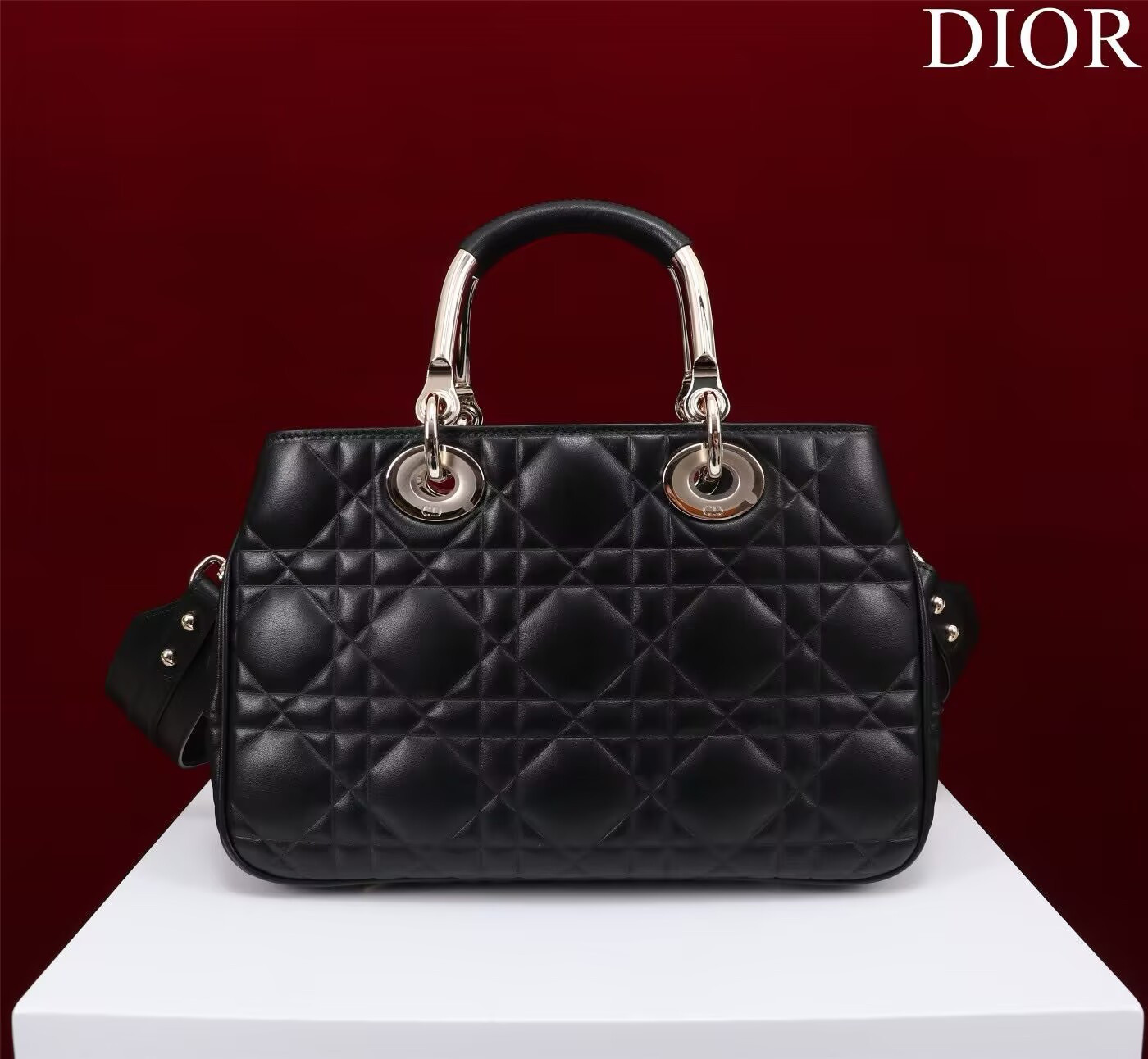 D*0r Lady Handbag 24x18x10cm