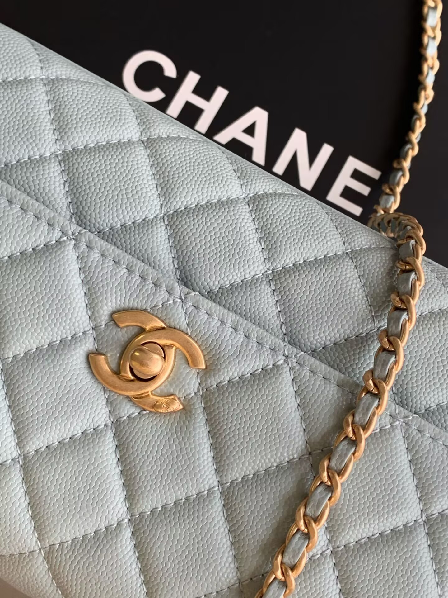 Ch*el coco handle bag 23cm