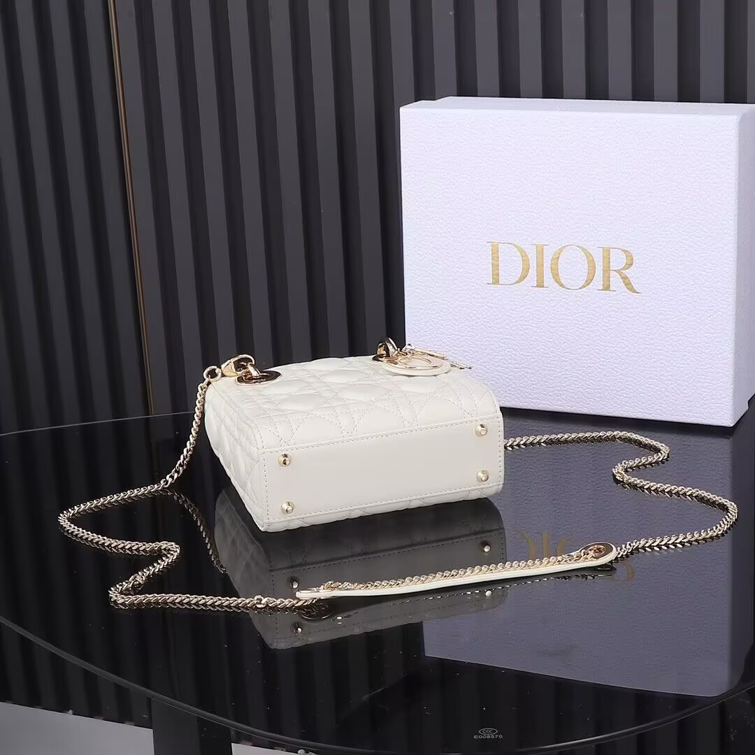 lady D*or bag 17x7x15cm