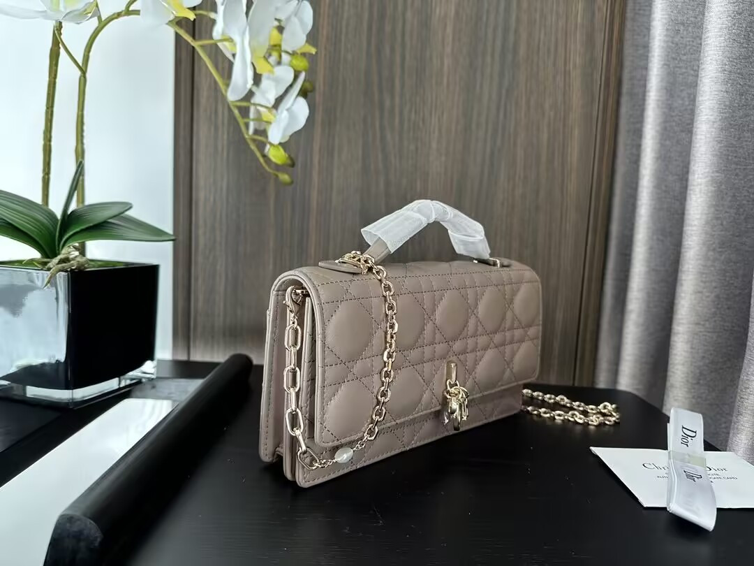 D*or my D*or mini bag 21x11.5x4.5cm
