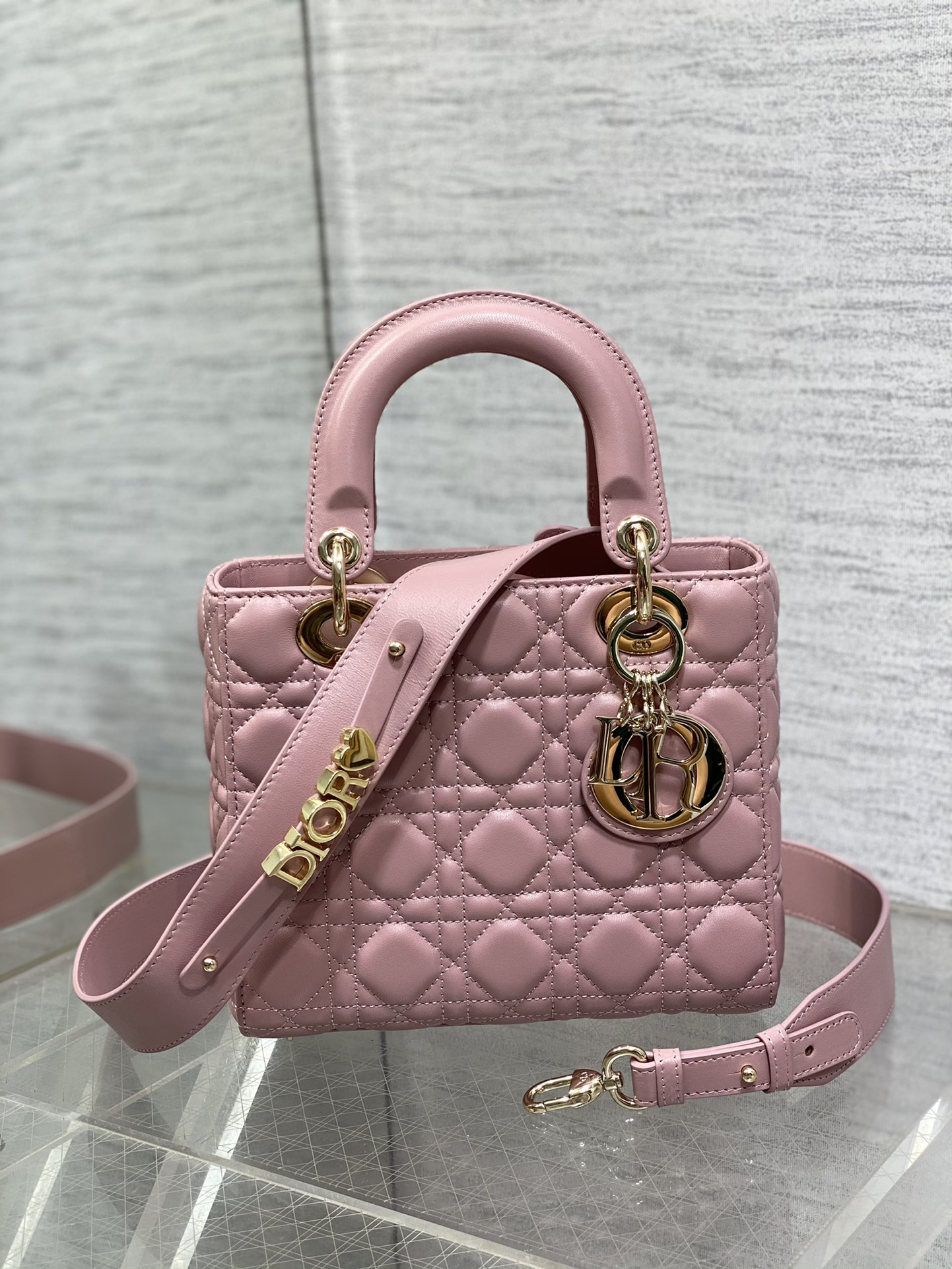Small Lady D*0r My ABCD*0r Bag 8 x 6.5 x 3 inches