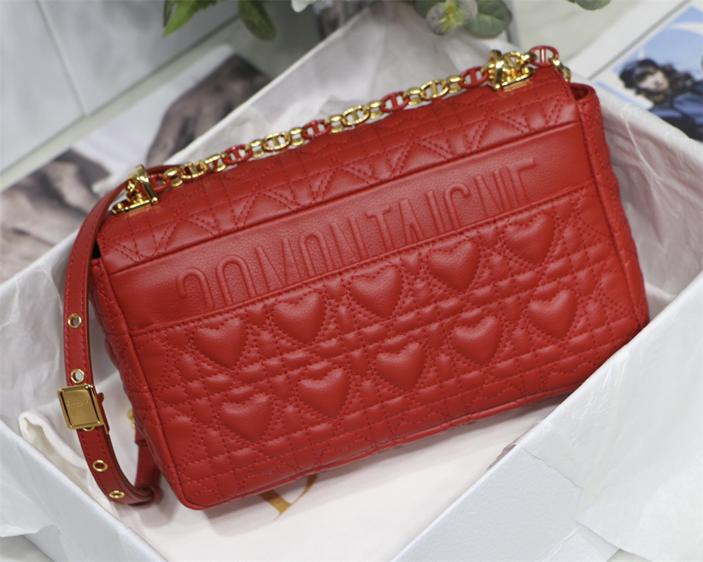 MEDIUM D*0r CARO BAG amour red 25.5 x 15.5 x 8 cm