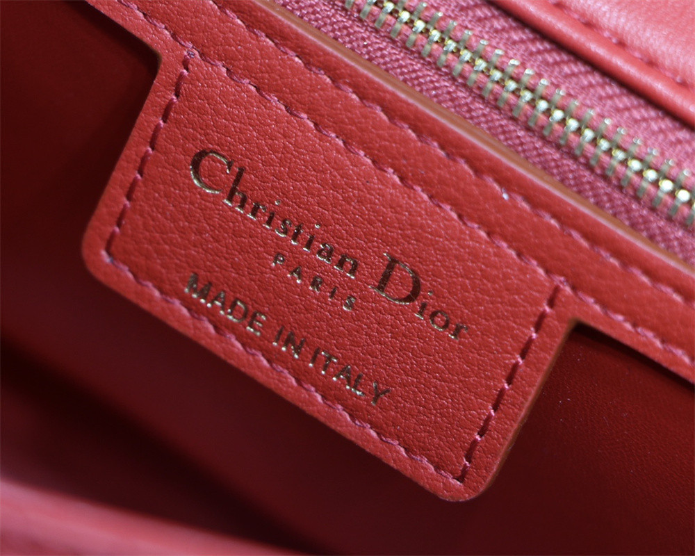 MEDIUM D*0r CARO BAG amour red 25.5 x 15.5 x 8 cm