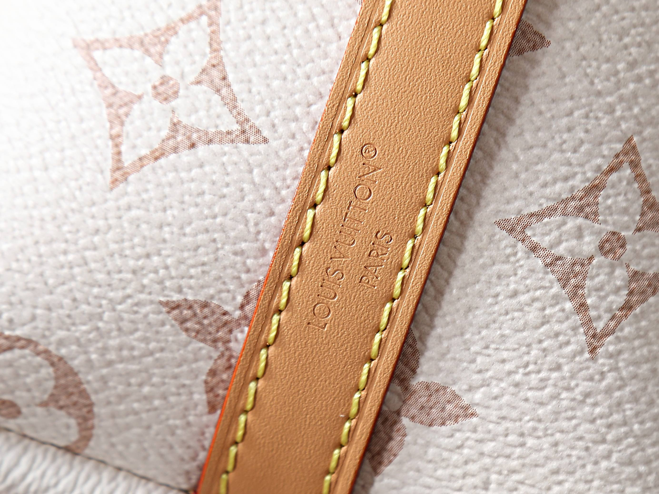 LV Multipass M2A078 30x26x10cm